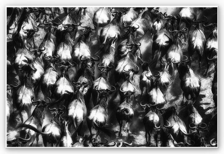 Produktbild Trenddeko Alnaser - Grosse Flucht (100 x 70 cm)