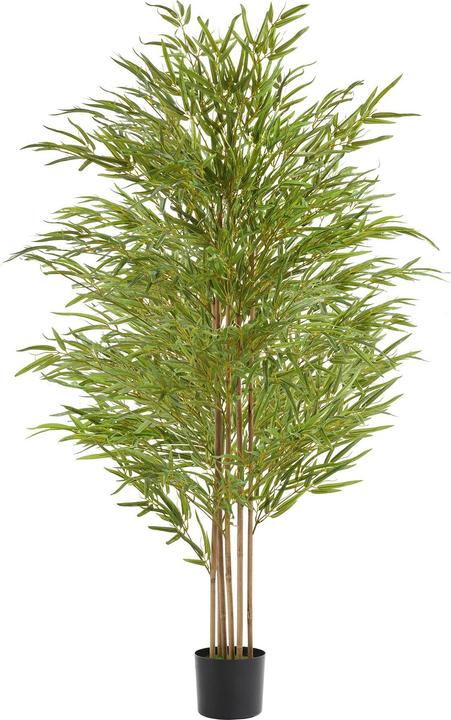 tectake Bambusbaum Bambosa (180 cm)