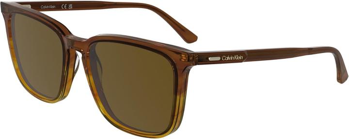 Produktbild Calvin Klein CK25507S 203