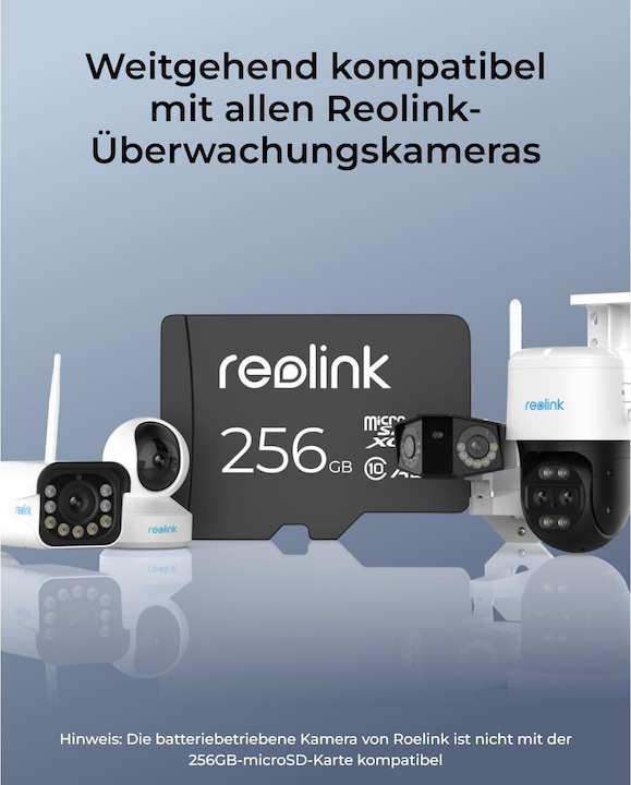 Image du produit Reolink MicroSD (256 Go, microSD, U3)