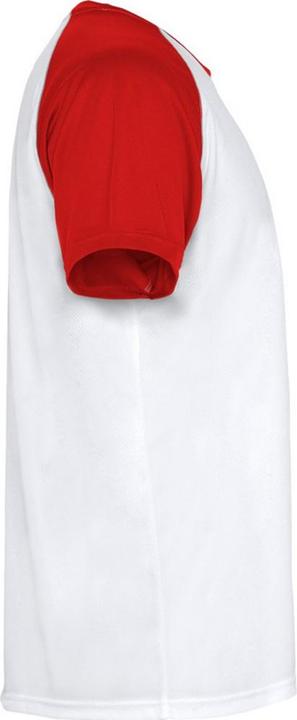 Actual product image Alpinia Unisex Adult Indianapolis Short-Sleeved Sports T-Shirt (L)