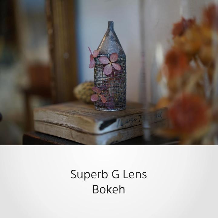 Actual product image Sony FE 50mm f/2.5 G (Sony E, full size)