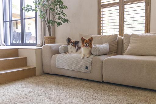 Immagine prodotto Designed by Lotte Cuscino per divano a coste (Cane)