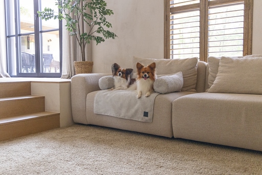 Productafbeelding Designed by Lotte Bankkussen Geribd (Hond)