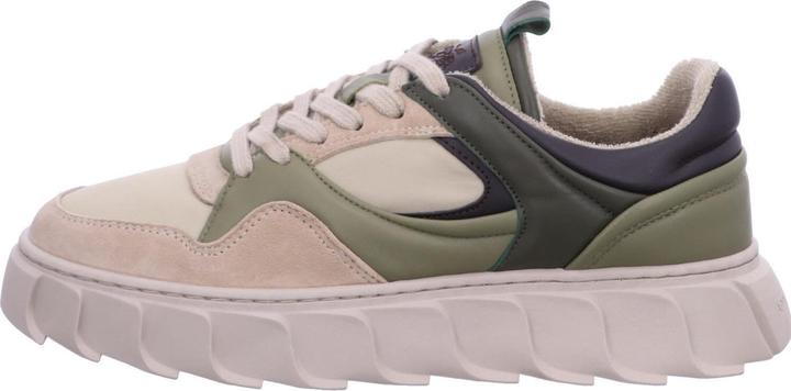 Image du produit Apple Of Eden AW24-LIMA 70 (36)