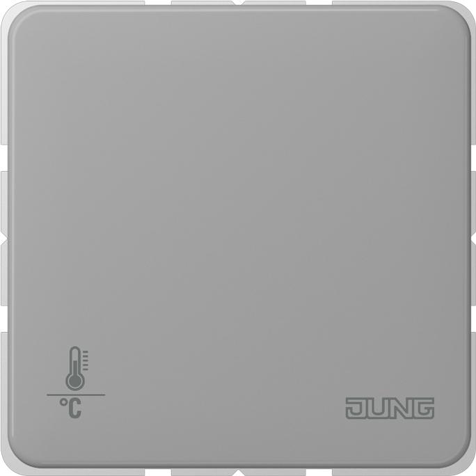 Actual product image JUNG CD2178ORTSGR