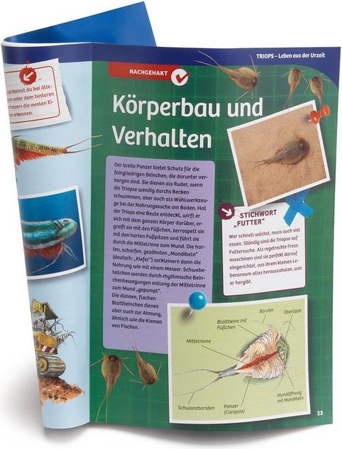 Image du produit Kosmos Triops World