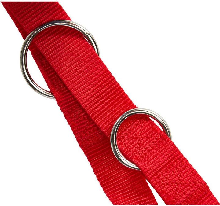 Actual product image Nobby Classic lead (L, Dog, General)