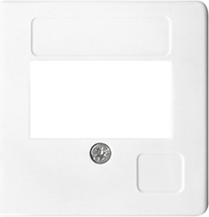 Actual product image JUNG Central plate TAE 3f aws glz Schraubbef 169TWW