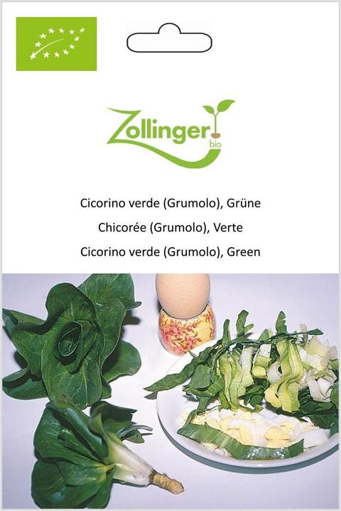 Produktbild Zollinger Bio Cicorino verde (Grumolo), Grüne (Keimlinge)