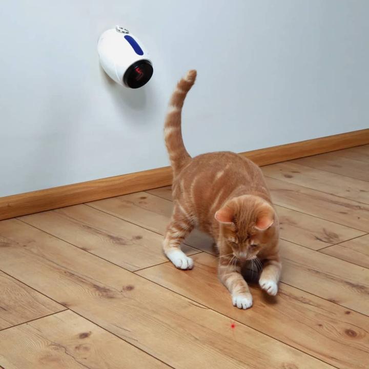 Actual product image Trixie Ximena (Cat activity toy)