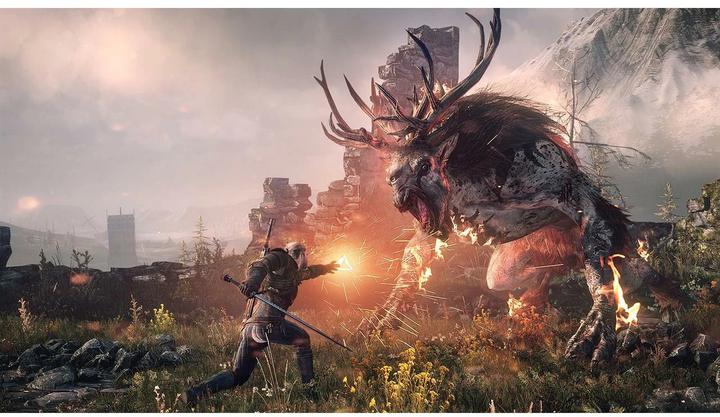 Immagine prodotto Bandai Namco The Witcher 3: Wild Hunt (Switch, DE)