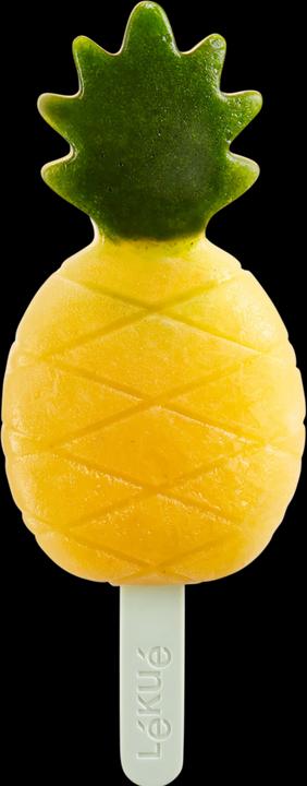Actual product image Lékué Ice Cream