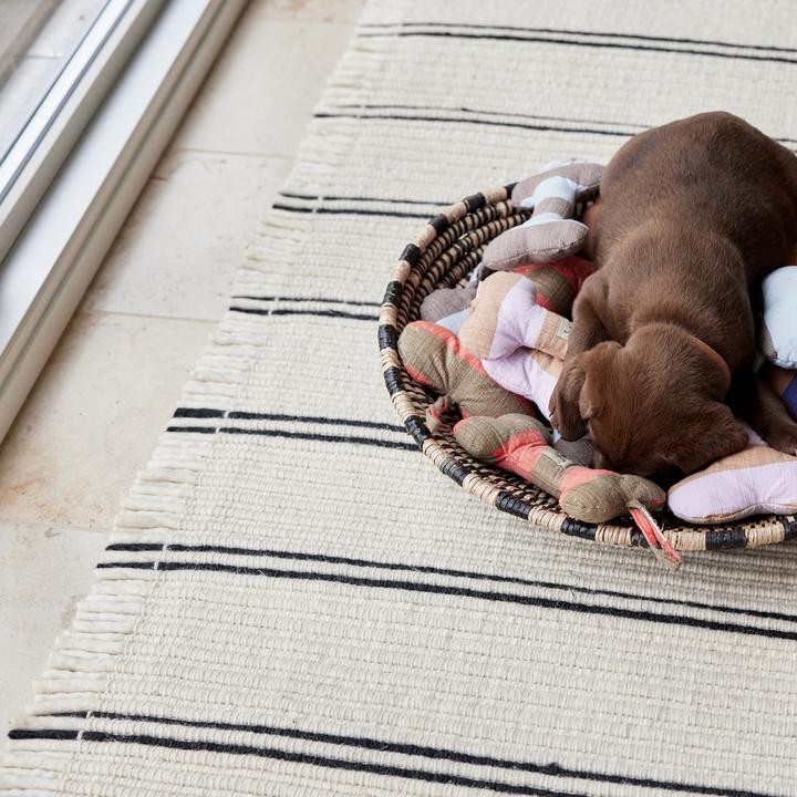 Immagine prodotto OYOY Zoo ZOO - Giocattolo per cani Ashi grande - Blu scuro/marrone (Z60071) (Cane di peluche)