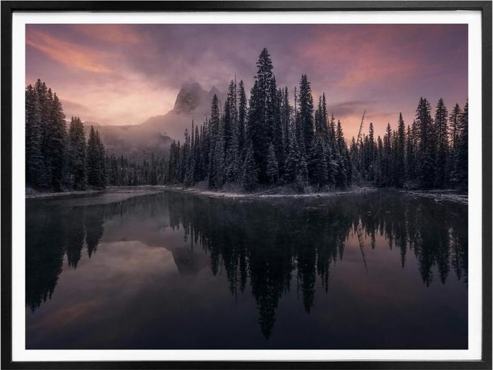 Produktbild Trenddeko Fairytale Forest (40 x 30 cm)