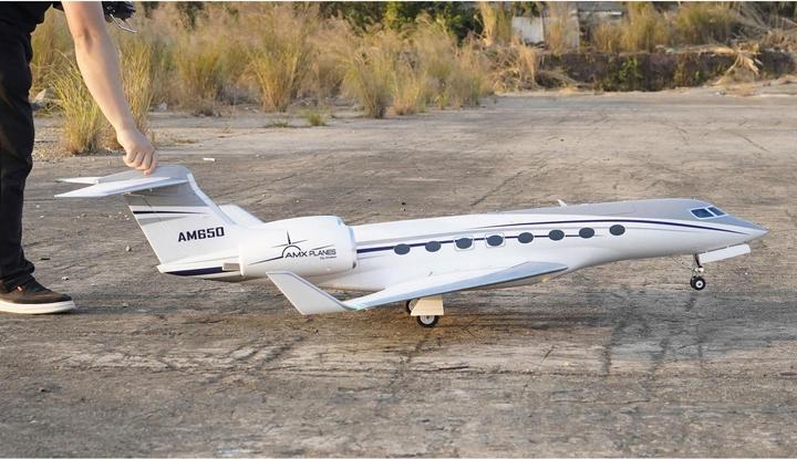 Image du produit Amewi Business Jet AM650 1766 mm PNP (Avion à réaction)