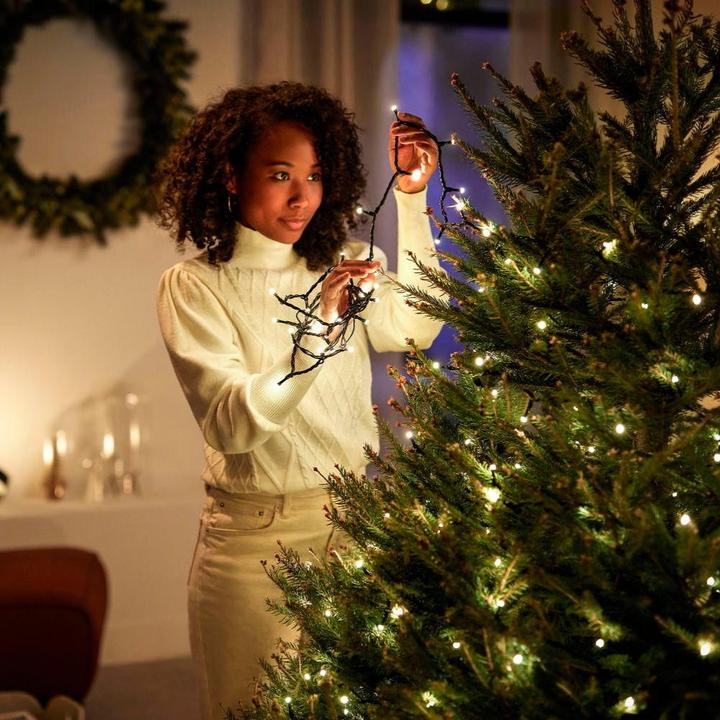 Image du produit Philips Hue Festavia (prise UE) (20 m)