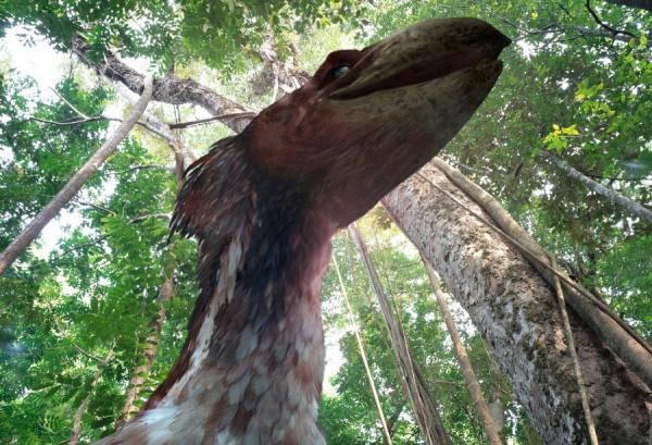 Produktbild neu Dinosaurier Im Reich der Giganten (DVD, 2006, Deutsch, Englisch)