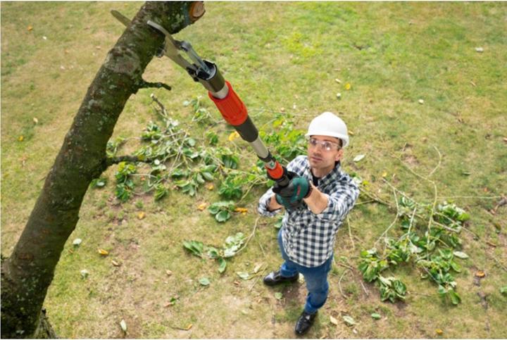 Actual product image Bosch Home & Garden AdvancedPrune 18V-45 cordless garden shears (1x2.0Ah) (long)