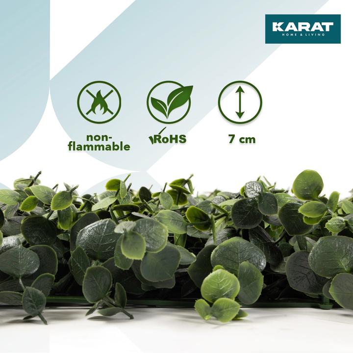 Immagine prodotto Karat Eucalyptus (7 cm)