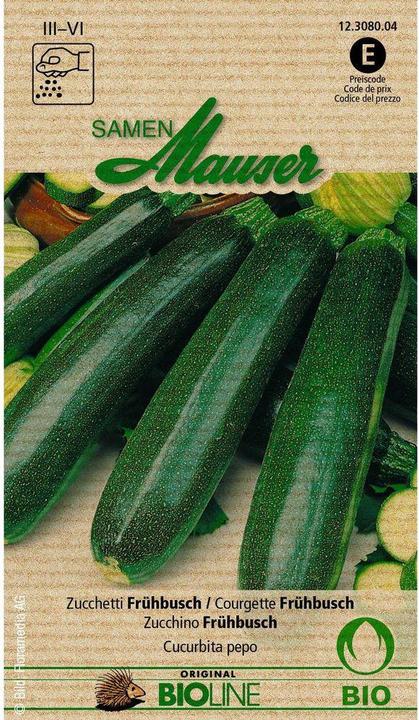 Samen Mauser Knospe Bio Zucchetti Frühbusch (Gemüsesamen)