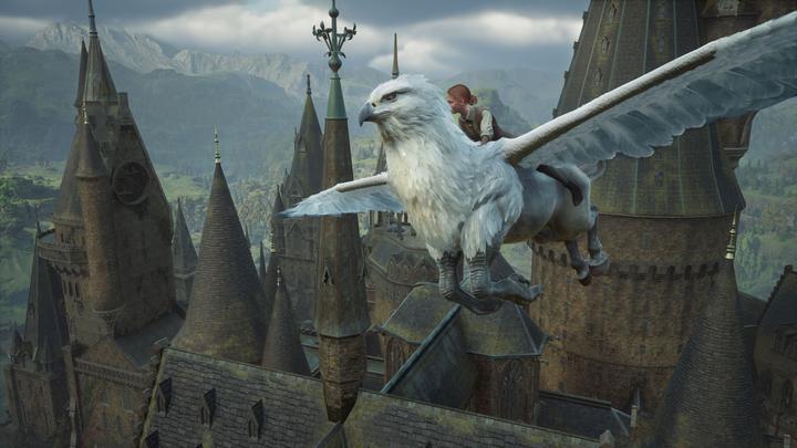 Actual product image Cenega Hogwarts Legacy (Switch 2)