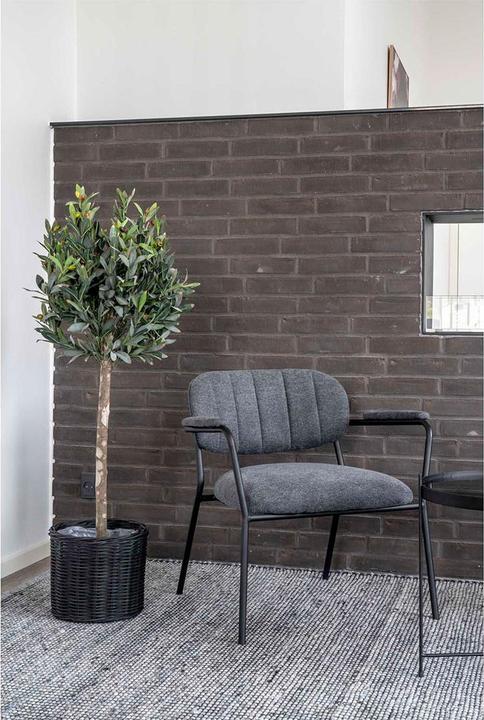 Image du produit House Nordic Olive (126 cm)