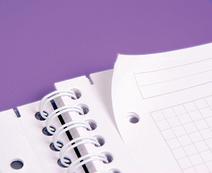 Actual product image Clairefontaine Linicolor Evolutive Book (A4+, Checked, Hardcover)