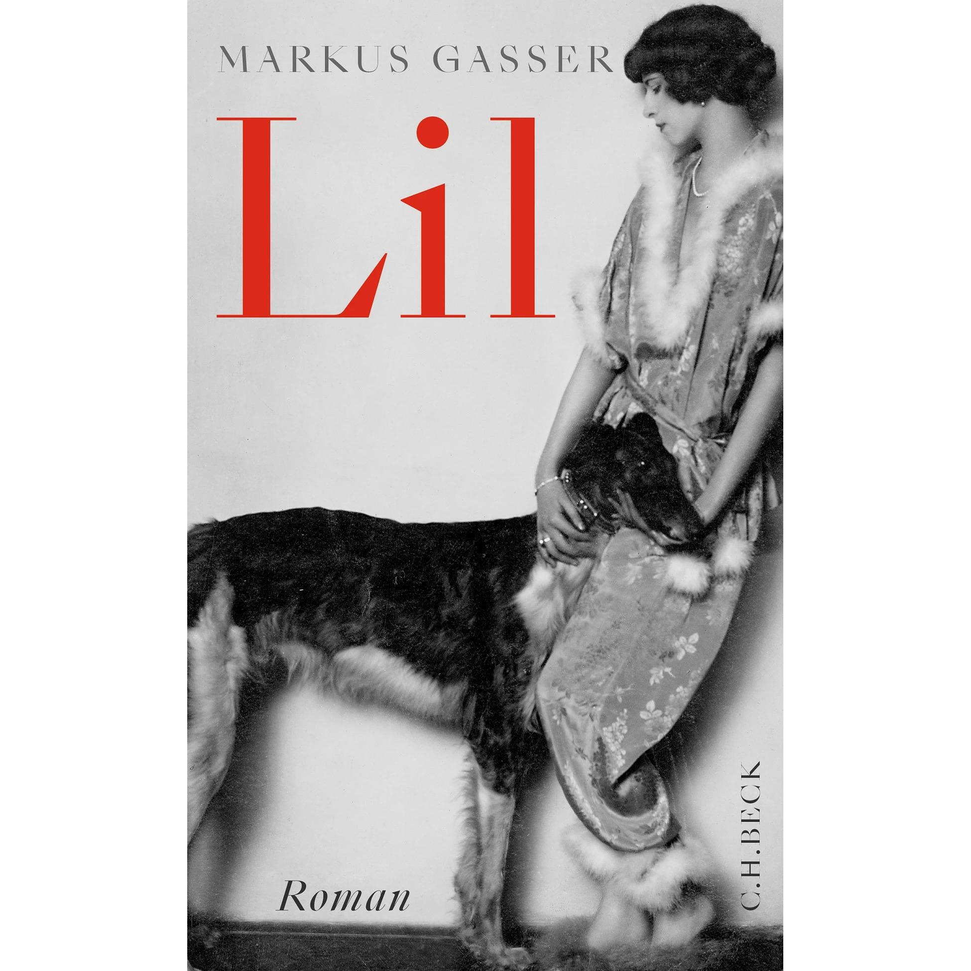 Lil, Belletristik von Markus Gasser