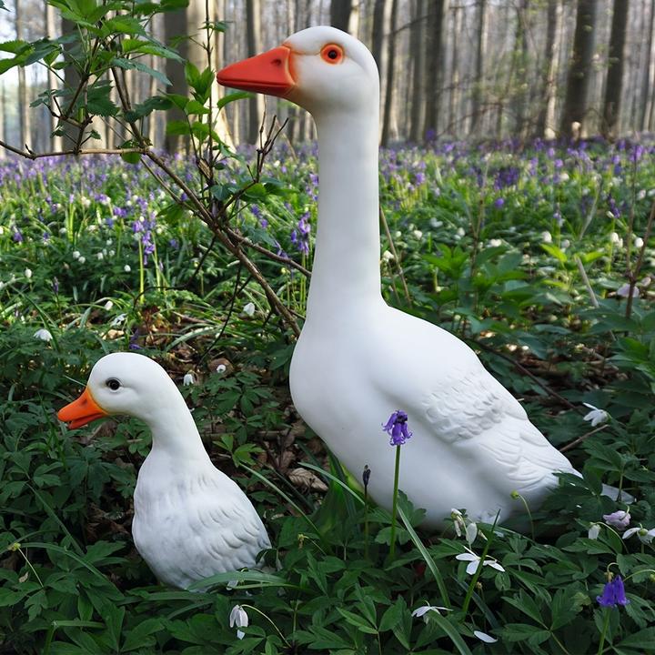 Produktbild Egmont Ente