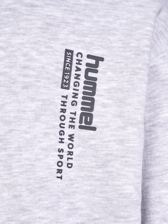 Immagine prodotto hummel hmlDANTE HOODIE (122)