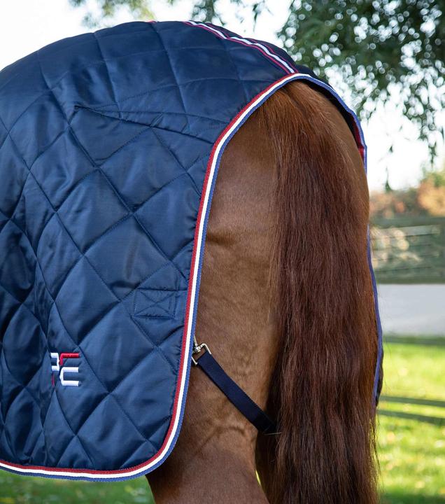 Produktbild Premier Equine 100g (221 cm)