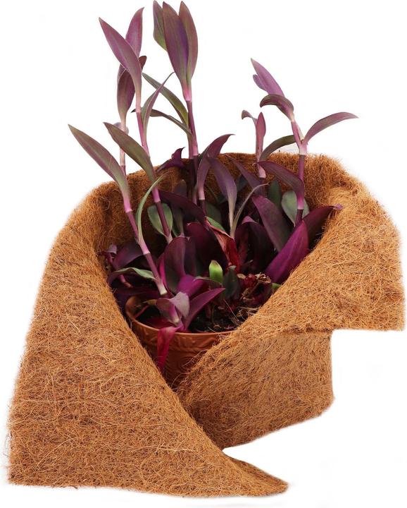 Immagine prodotto Aquagart 5m Kokosmatte Winterschutz Böschungsmatte Kokosfasermatte 800g/m² 0,5m breit