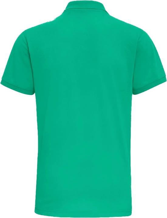 Image du produit Asquith & Fox Polo Asquith&Fox (XXL)