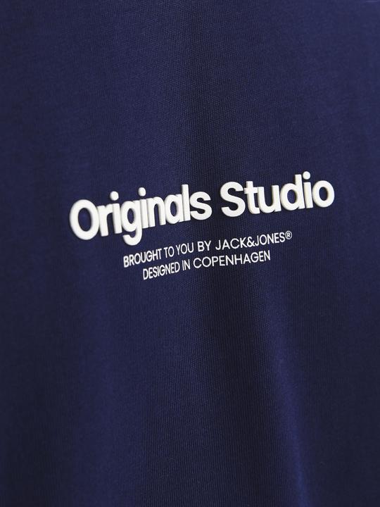 Actual product image Jack & Jones Jorvesterbro Tee Ss Crew Neck Noos (XXL)