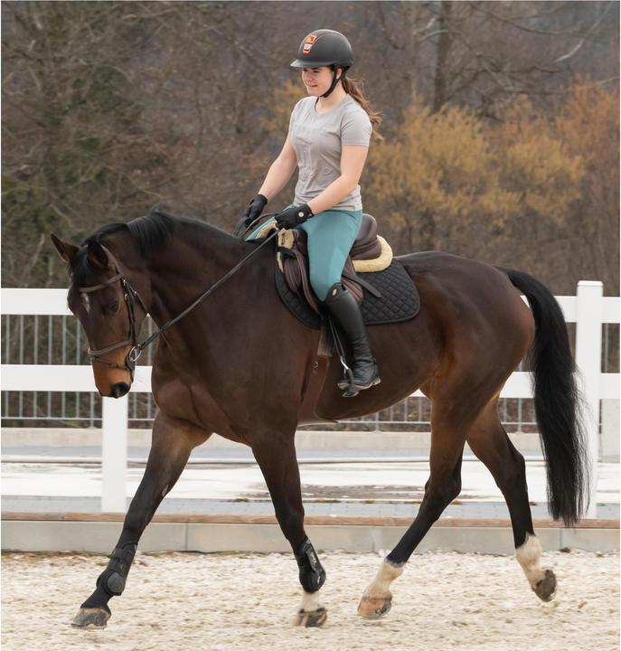 Immagine prodotto Marengo Cuscinetto da sella Basic