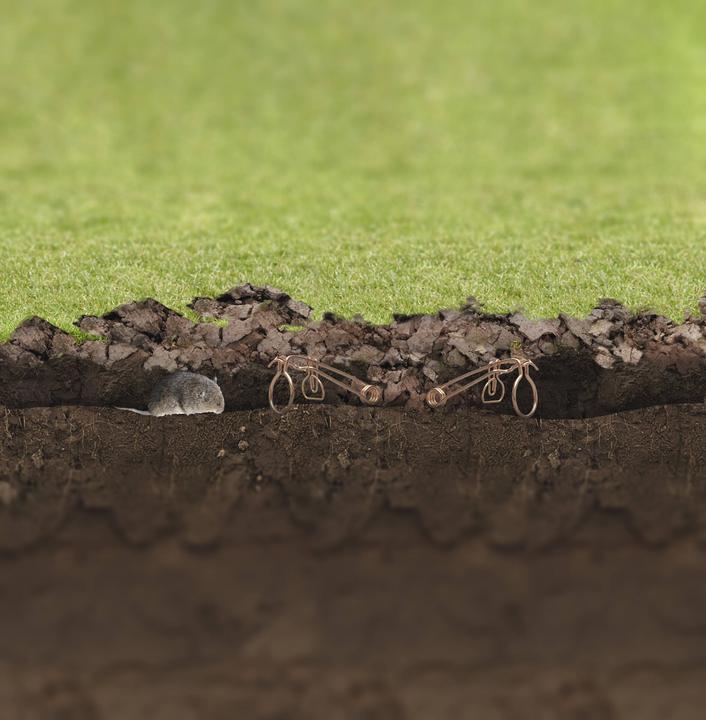 Actual product image Gardigo Vole trap vole trap set of 4 Bavarian