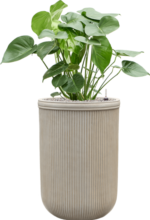 Produktbild Baq Design Vertical Rib