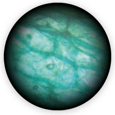 Image du produit Buki Video Mikroskop