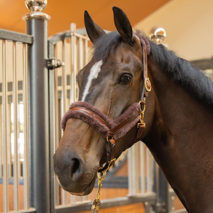 Immagine prodotto Harry's Horse Furry Matt