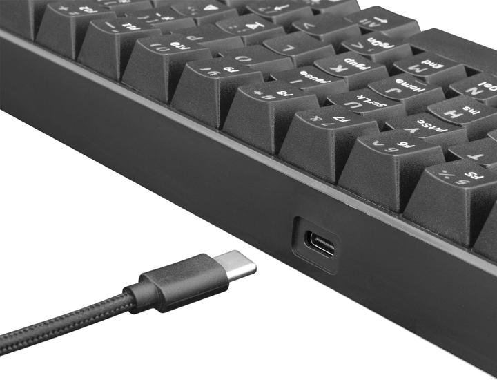 Produktbild White Shark Mechanical Gaming Keyboard Shinobi, OUTEMU RED Switch, Full Rainbow RGB LED Backlight, U (USA, Kabelgebunden)