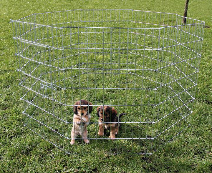 Immagine prodotto Trixie Pista libera per cani di piccola taglia (Gabbia per cani)