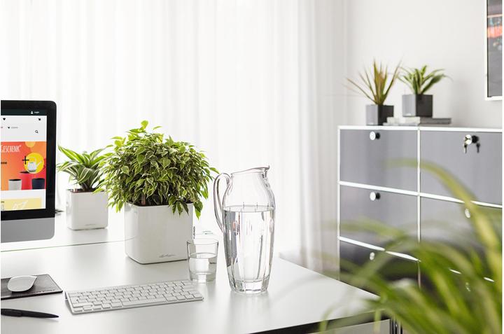 Produktbild Lechuza Cube Glossy 14 (14 x 14 x 14 cm)