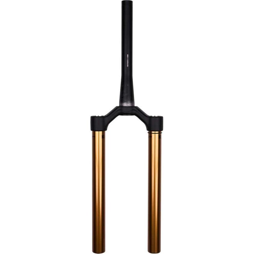 Fox, Forcella per bici, (160 mm, Aria)