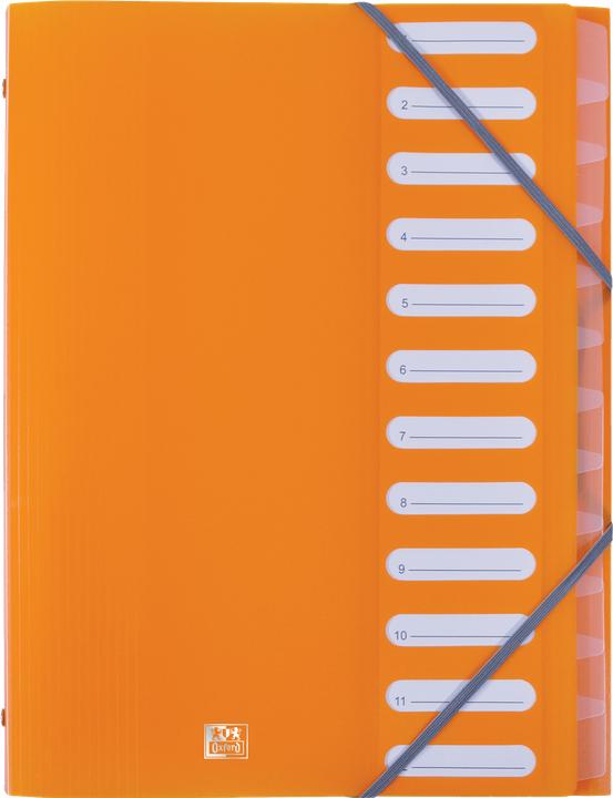 Image du produit Elba Classeur " School Life", 12 compartiments, DIN A4, PP intercalaires transparents, élastiques d'angle (A4, 1x)