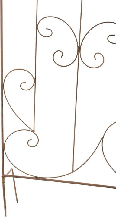 Actual product image CLP Mandevilla (1 cm, 99 cm)