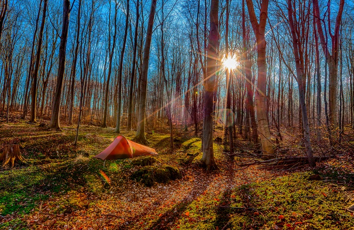 Produktbild Nordisk Lofoten 1 Tent (Tunnelzelt, 0.49 kg, 2 Personen)