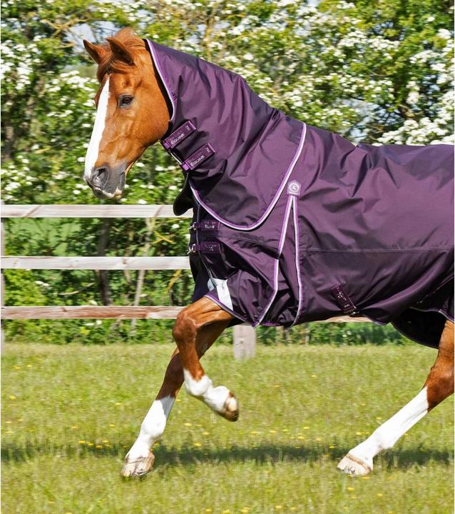 Produktbild Premier Equine Buster 70 g (191 cm)