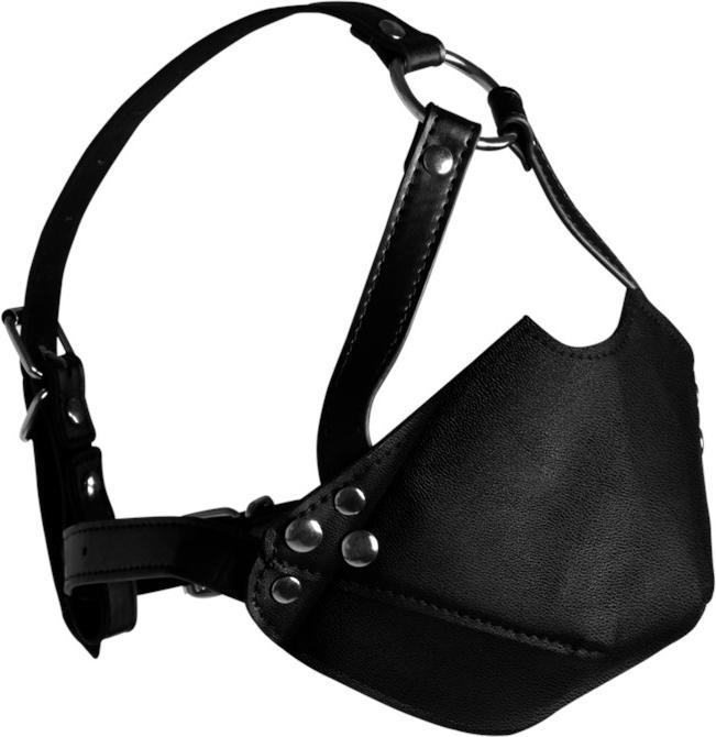 Image du produit Ouch! Head Harness with Mouth Cover and Breath Ball Gag