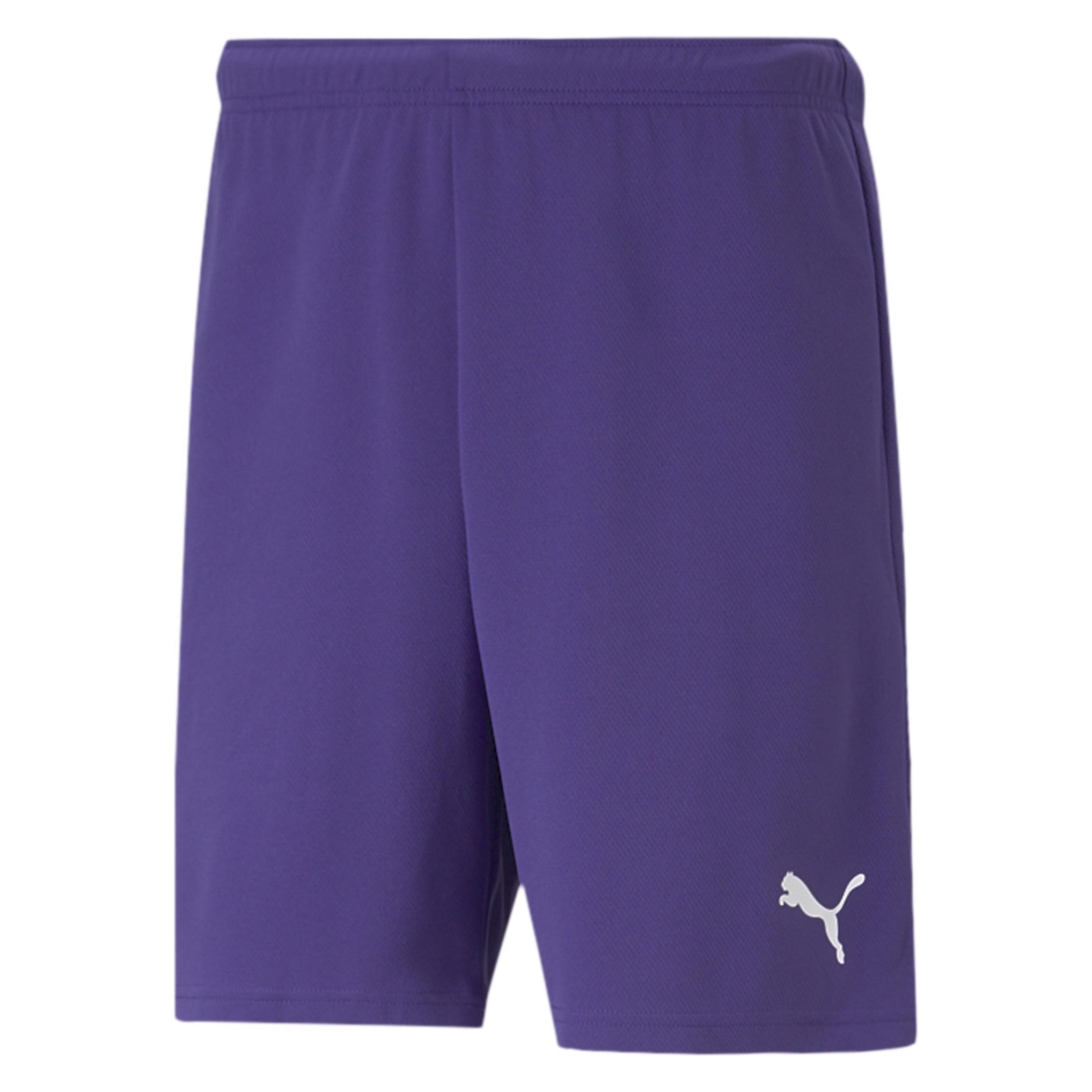 Puma, Mannen, Sportbroek, TeamRISE Kort-704942 (L), Paars